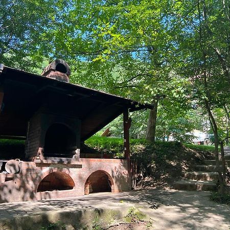 Pension Casa Vanatorilor Băile Olăneşti المظهر الخارجي الصورة