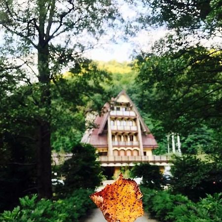 Pension Casa Vanatorilor Băile Olăneşti المظهر الخارجي الصورة