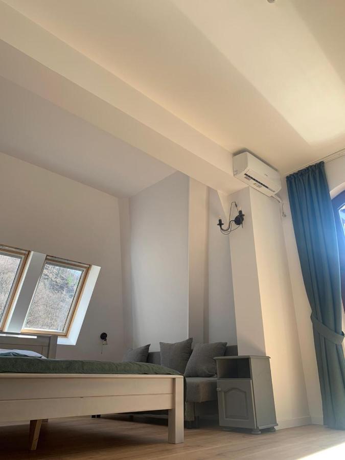 Pension Casa Vanatorilor Băile Olăneşti المظهر الخارجي الصورة