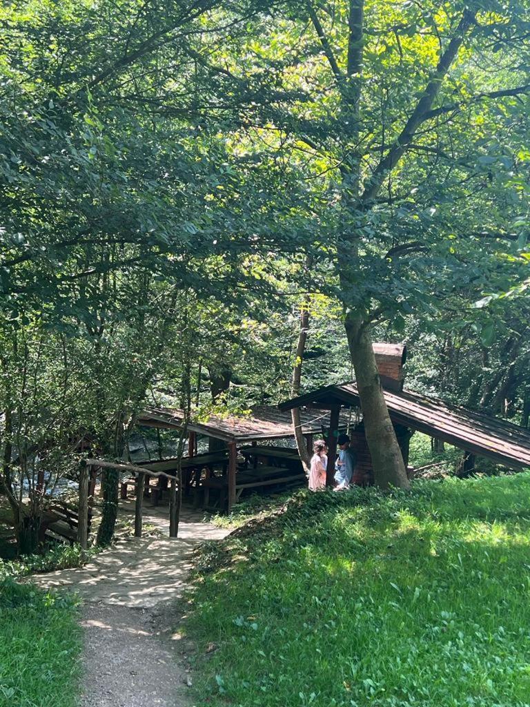 Pension Casa Vanatorilor Băile Olăneşti المظهر الخارجي الصورة