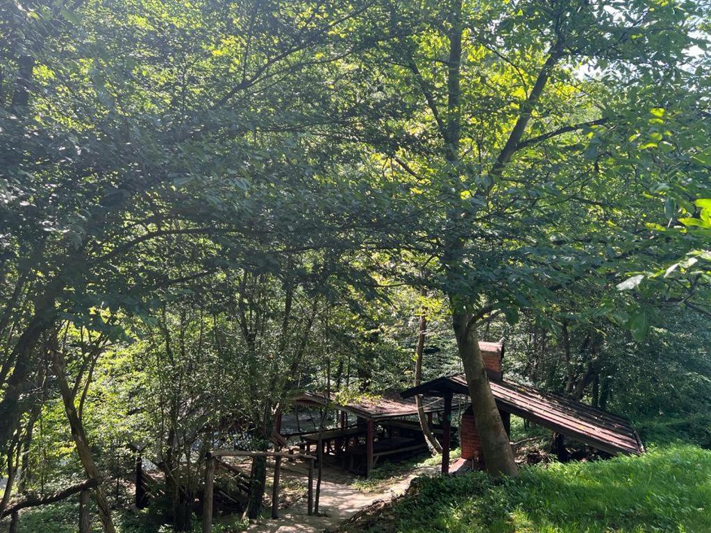 Pension Casa Vanatorilor Băile Olăneşti المظهر الخارجي الصورة