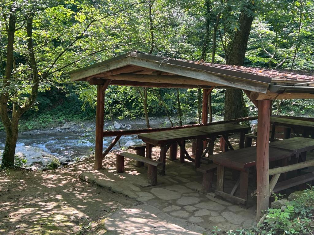 Pension Casa Vanatorilor Băile Olăneşti المظهر الخارجي الصورة