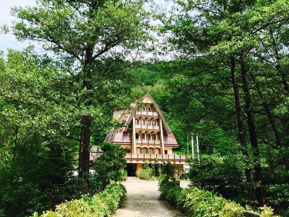 Pension Casa Vanatorilor Băile Olăneşti المظهر الخارجي الصورة
