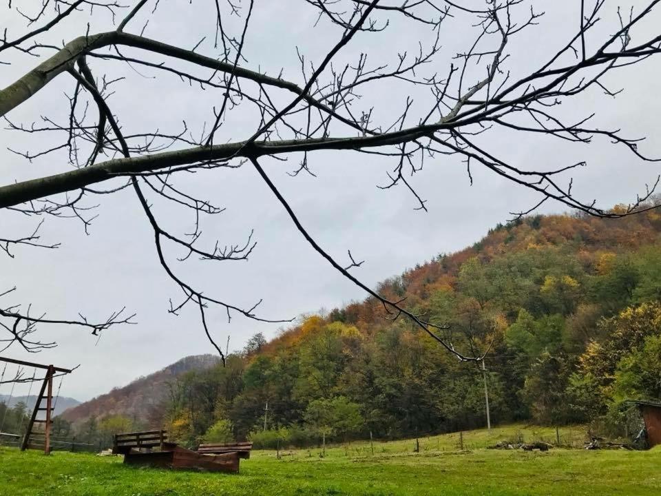 Pension Casa Vanatorilor Băile Olăneşti المظهر الخارجي الصورة