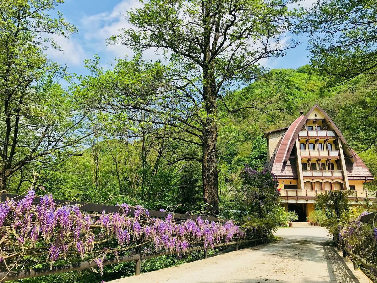 Pension Casa Vanatorilor Băile Olăneşti المظهر الخارجي الصورة