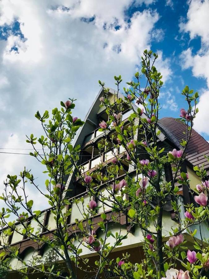 Pension Casa Vanatorilor Băile Olăneşti المظهر الخارجي الصورة